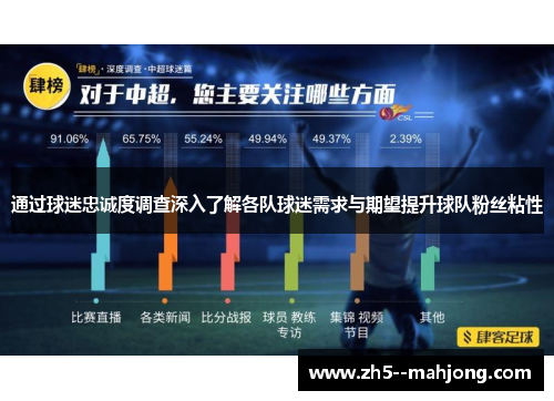 通过球迷忠诚度调查深入了解各队球迷需求与期望提升球队粉丝粘性