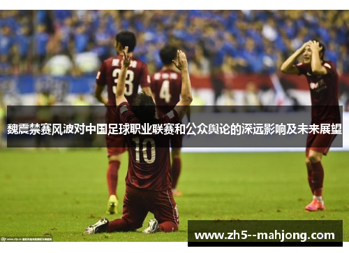 魏震禁赛风波对中国足球职业联赛和公众舆论的深远影响及未来展望