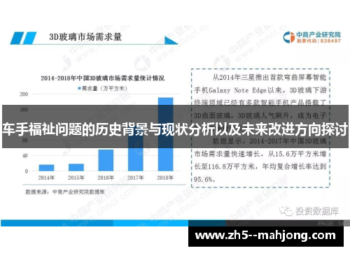 车手福祉问题的历史背景与现状分析以及未来改进方向探讨