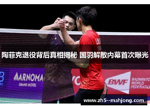 陶菲克退役背后真相揭秘 国羽解散内幕首次曝光