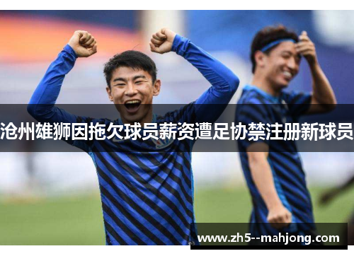 沧州雄狮因拖欠球员薪资遭足协禁注册新球员 沧州雄狮因拖欠球员薪资遭足协禁注册新球员