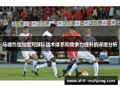 马德鲁加加盟对球队战术体系和竞争力提升的深度分析